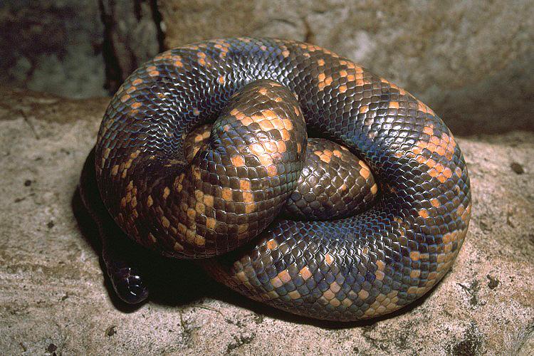 python groundwater
