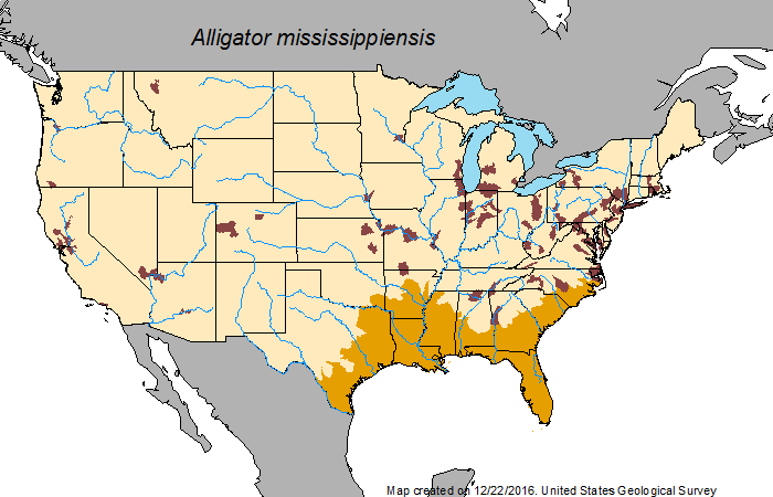 United States Alligator Map