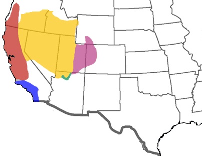 canyon rattlesnake grand range facts