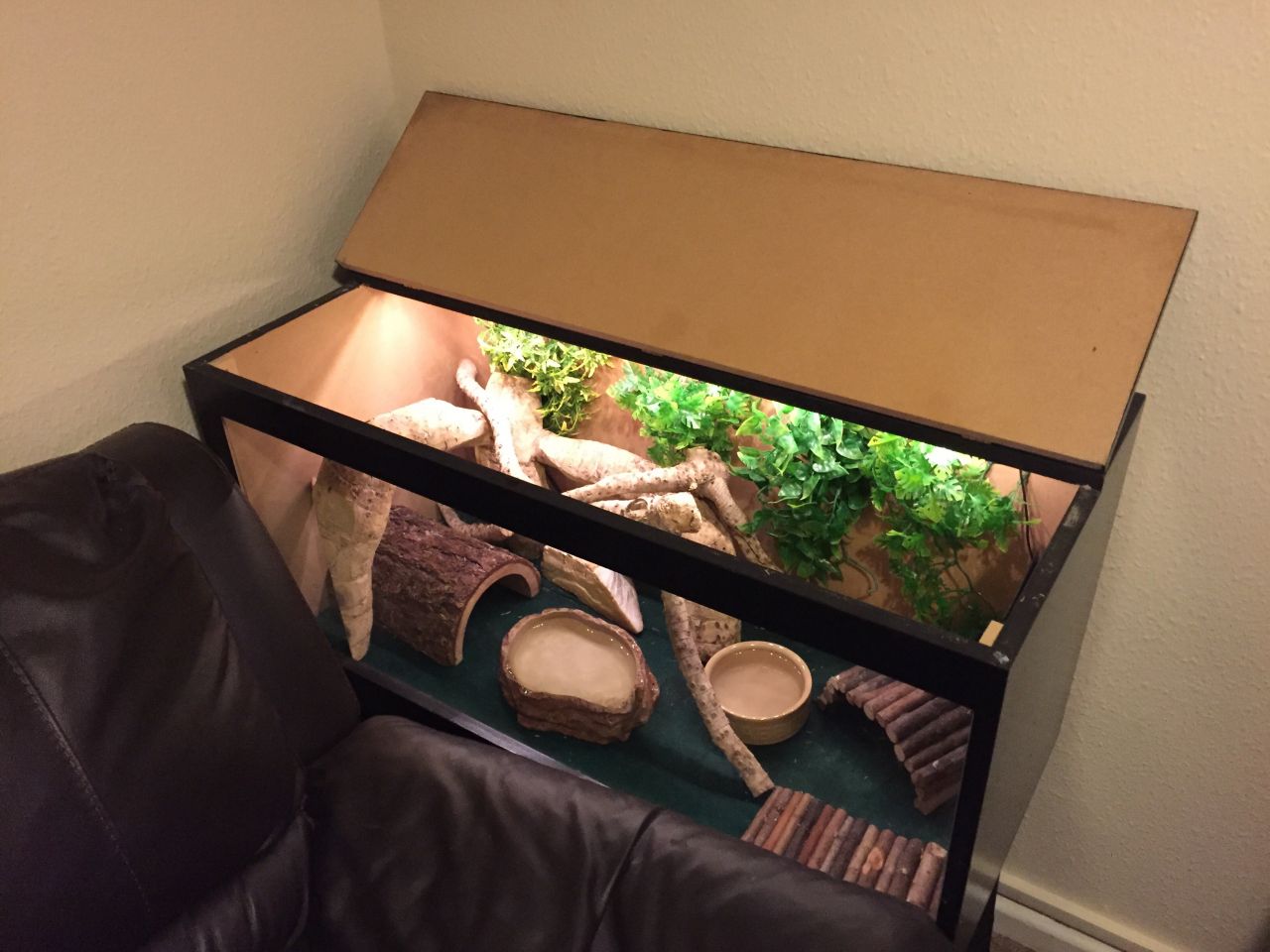 Milk Snake Habitat Setup At Gary Matthews Blog